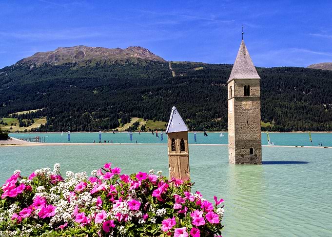 Flowers at Resia Lake