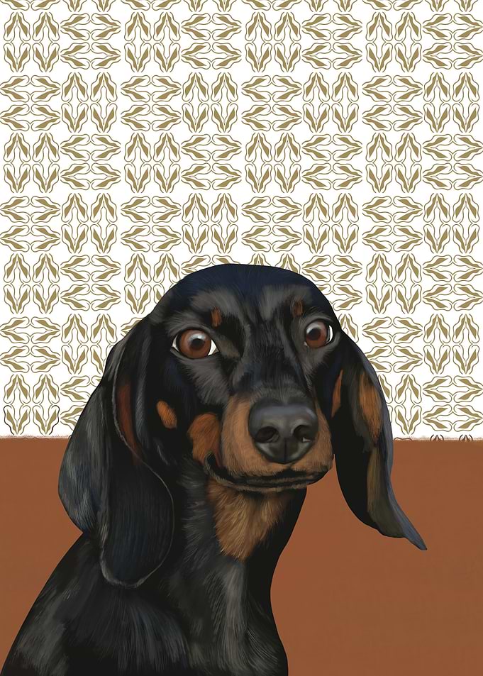 Black Dachshund Portrait