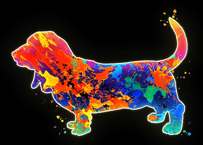 Basset Hound Dog