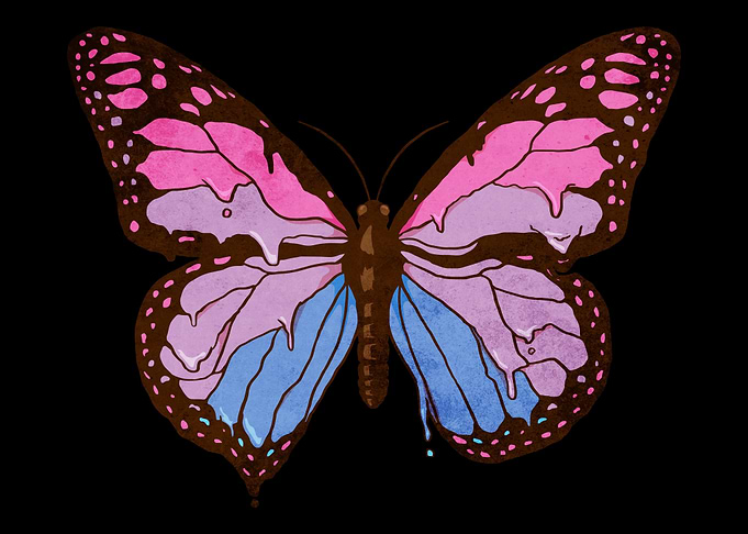 Transgender Pride