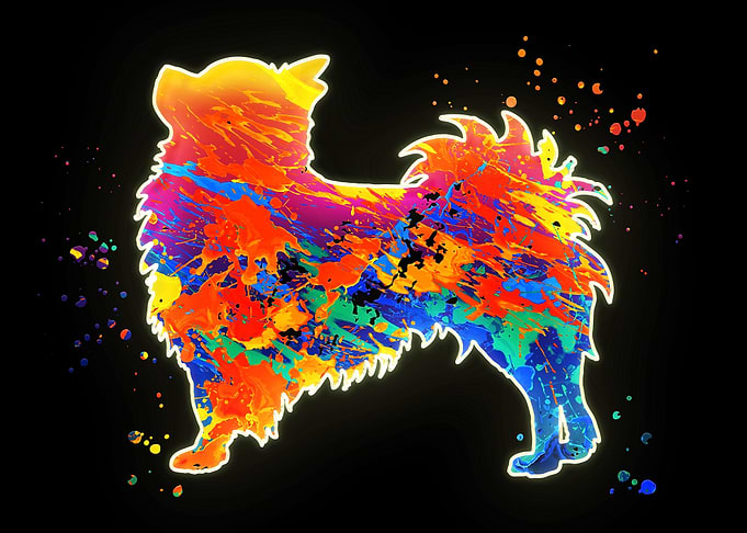 Chihuahua Long Hair