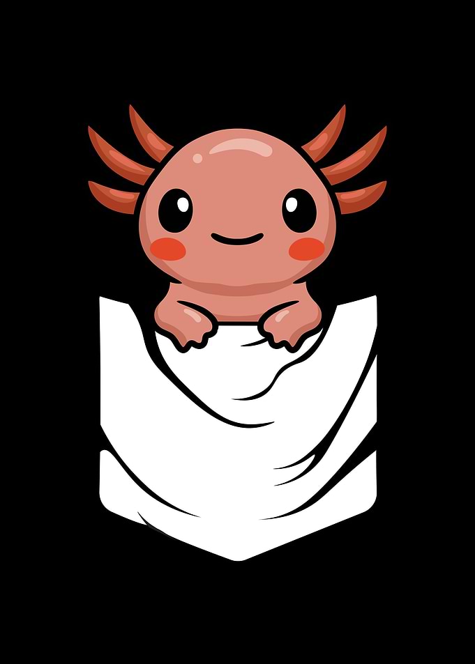 Anime Axolotl