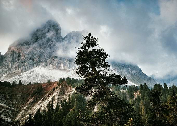 MOUNTAIN