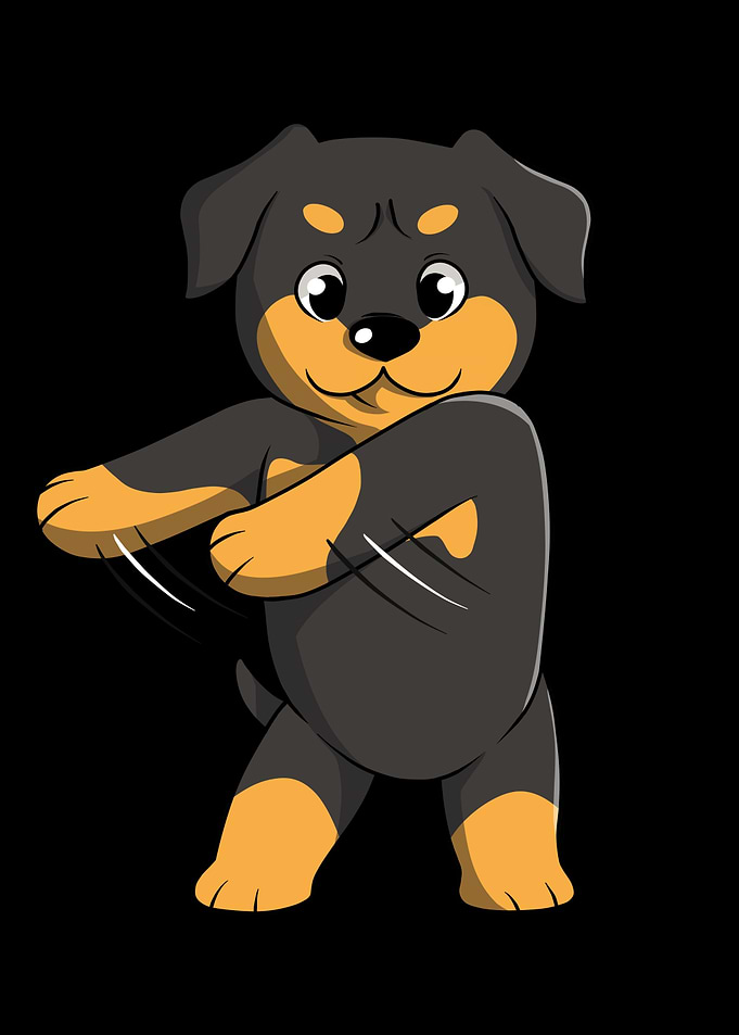 Rottweiler Flossing