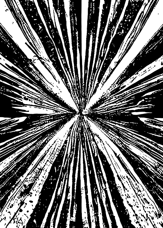Black and White Abstract