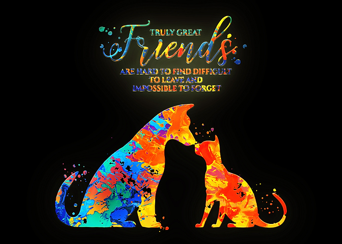 Cat and Dog Friend Quote