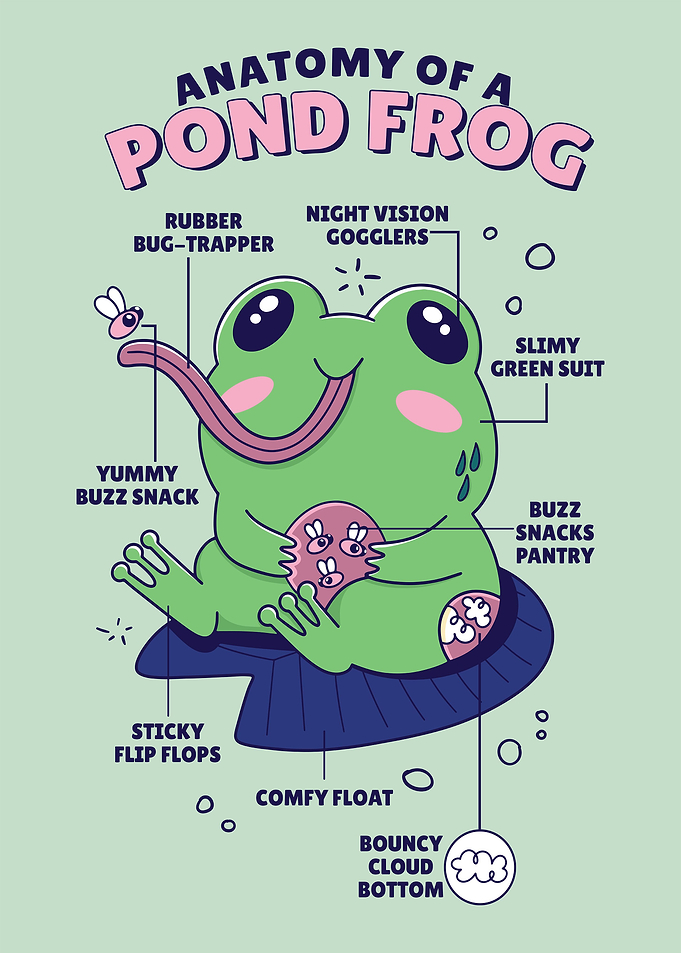 Frog Anatomy