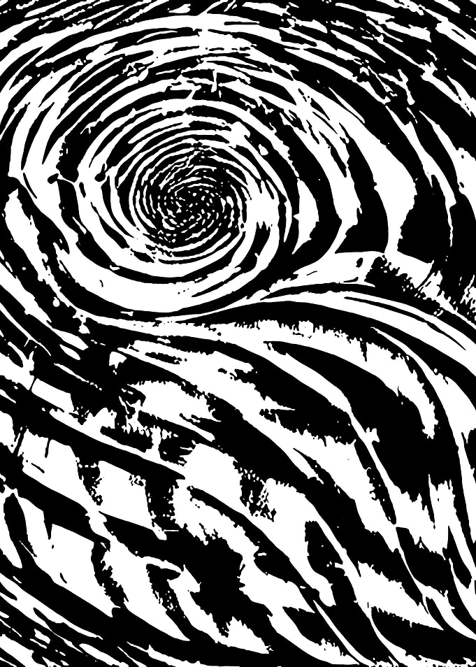 Black and White Abstract