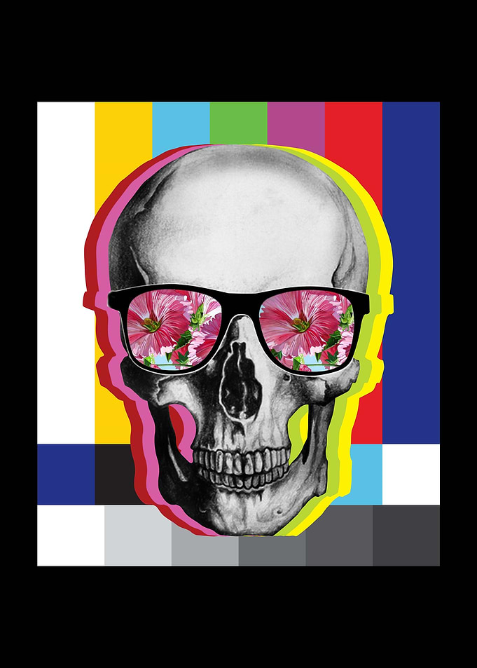the Cool Skull