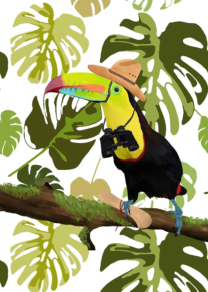 Jungle Explorer Toucan