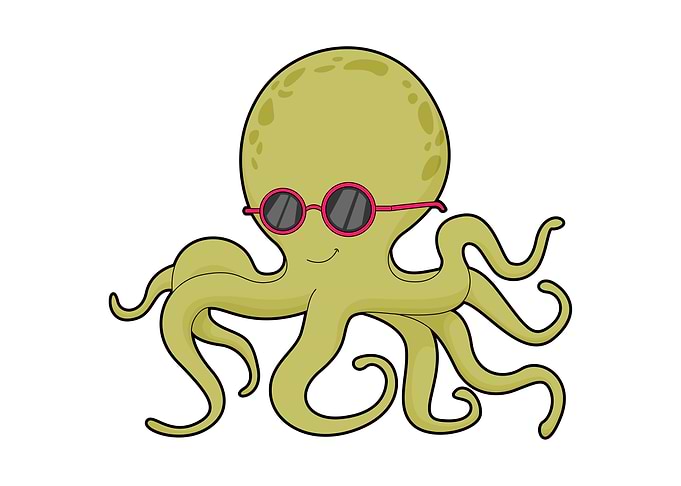 Octopus Sunglasses