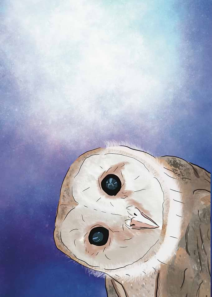 Night owl
