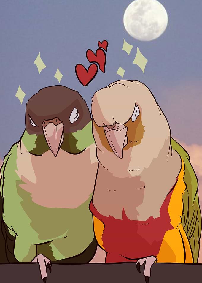 lovely bird