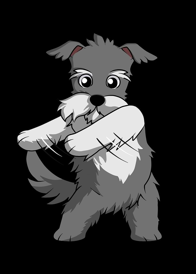 Schnauzer Flossing