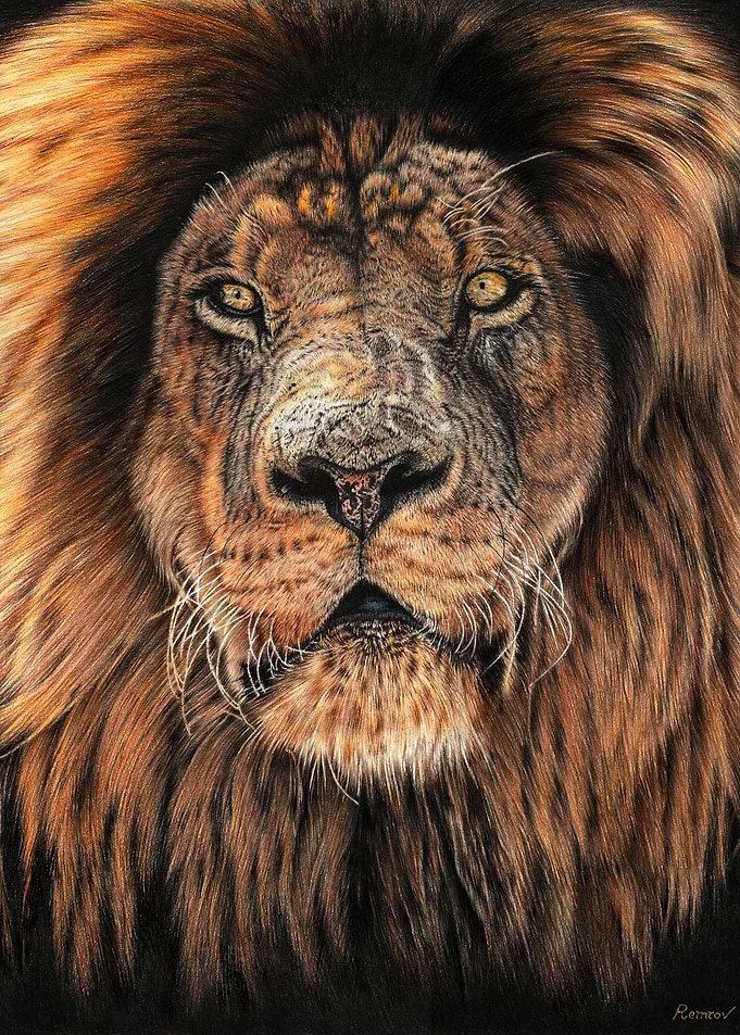 Noble King