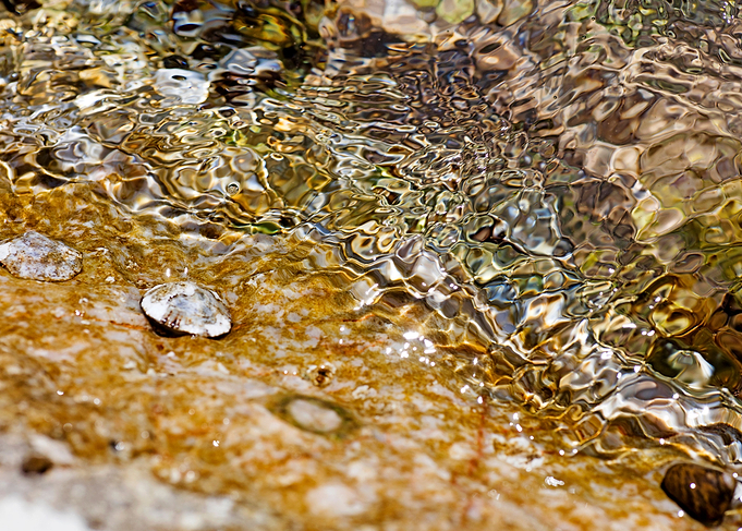 Sea summer rocks close up