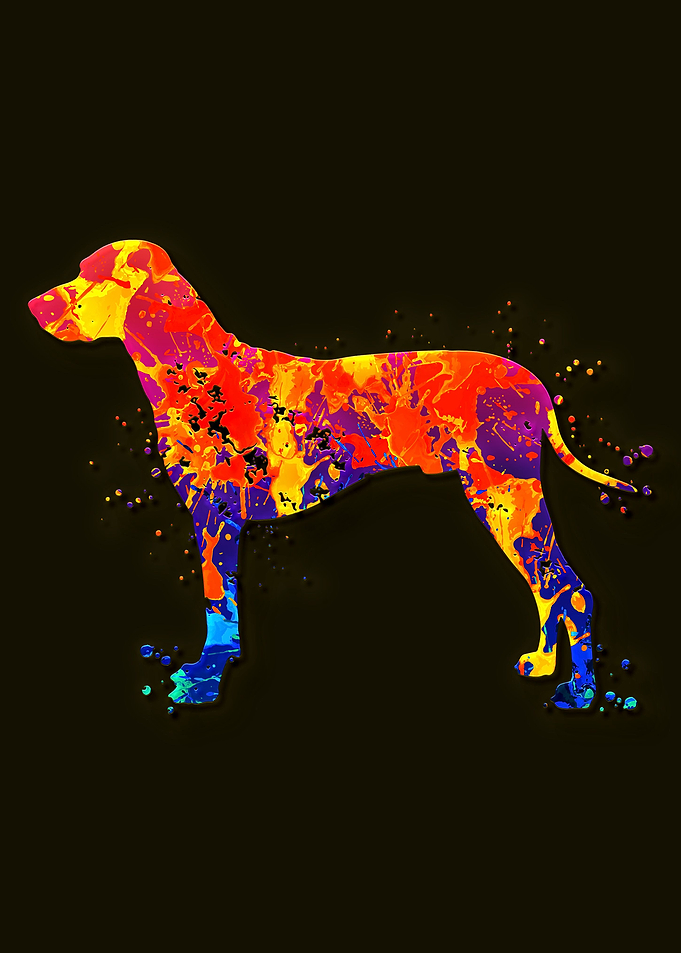 Rhodesian Ridgeback Dog
