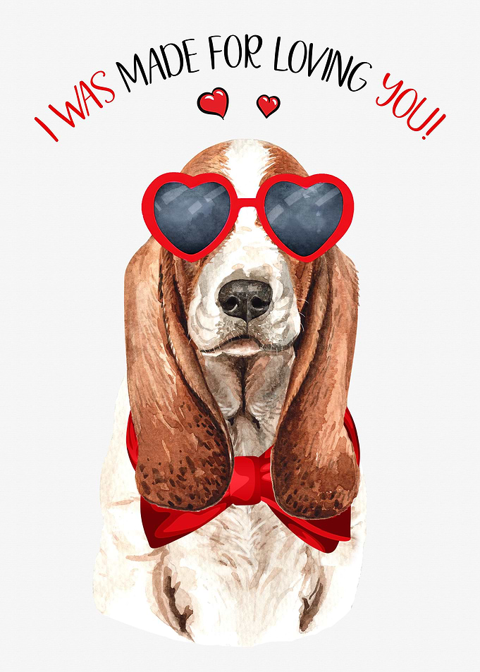 Basset Hound Loving You
