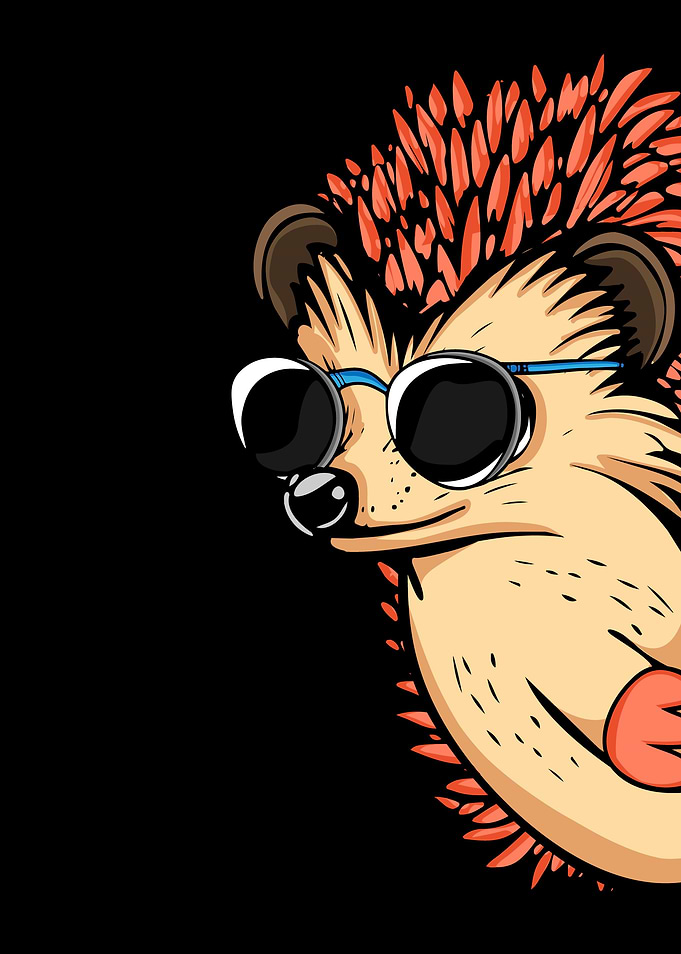 Cool Hedgehog Lover Gift