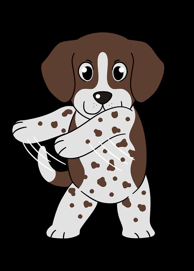 Pointer Dog Flossing