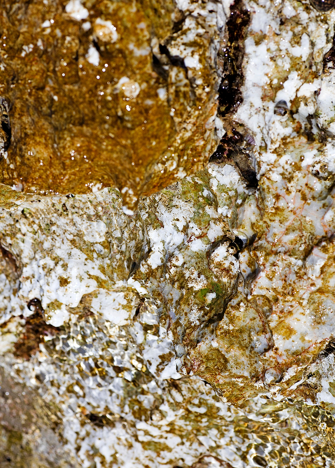 Sea summer rocks close up