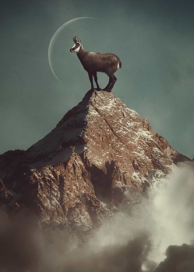 On Top of the World