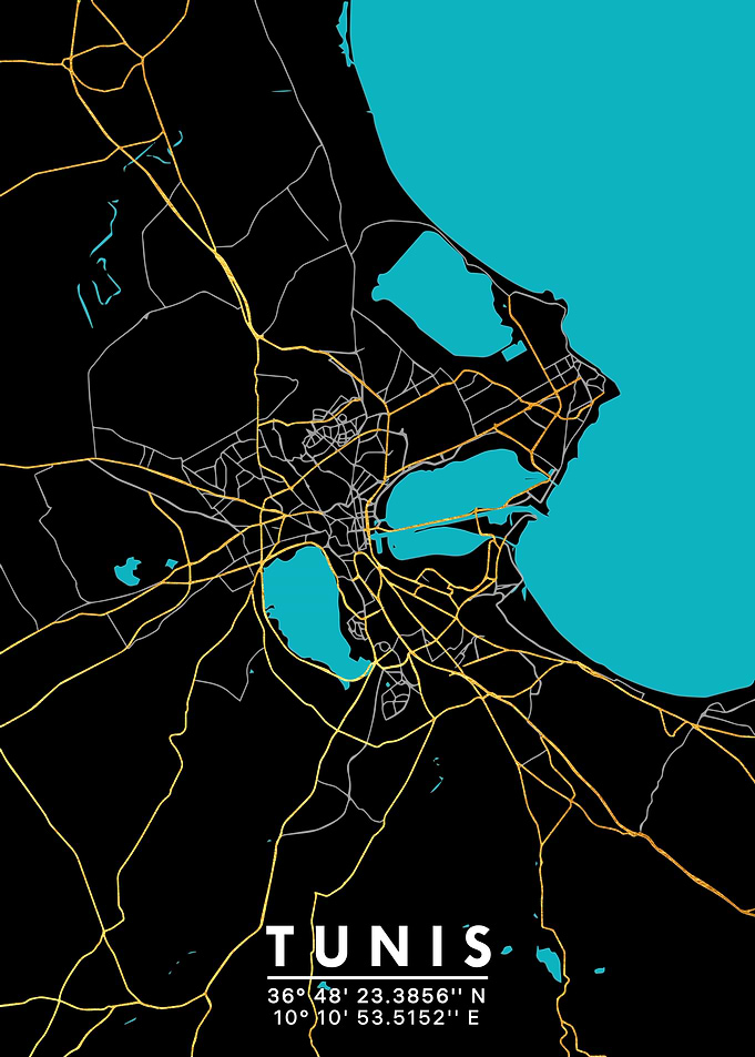 Tunis Tunisia