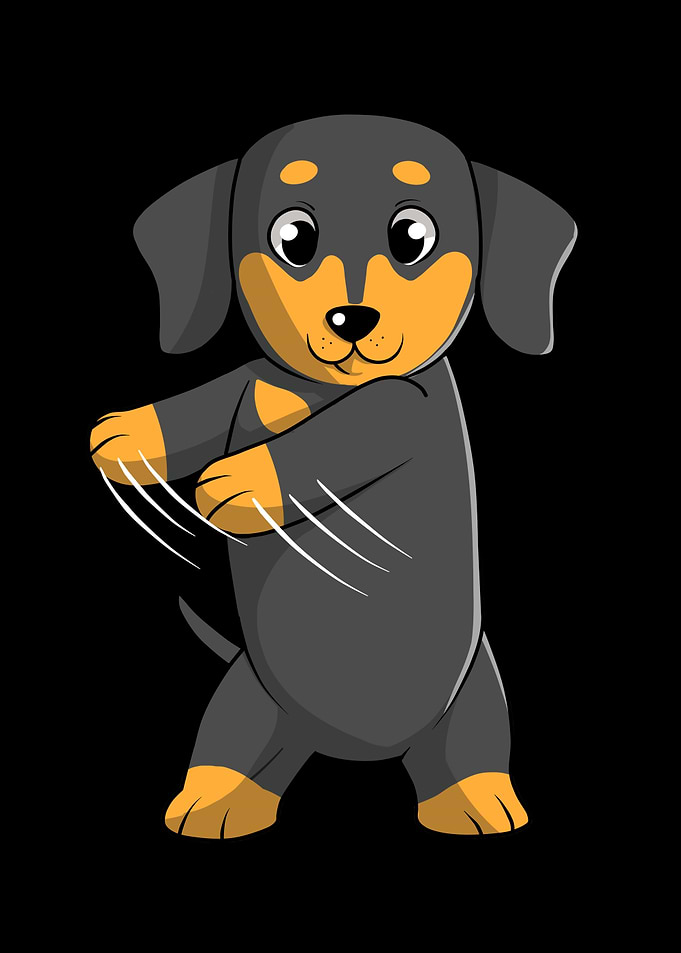Dachshund Flossing