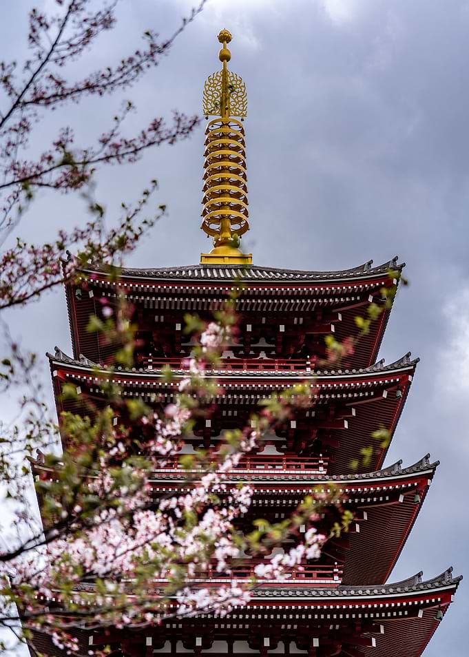 asakusa shrine