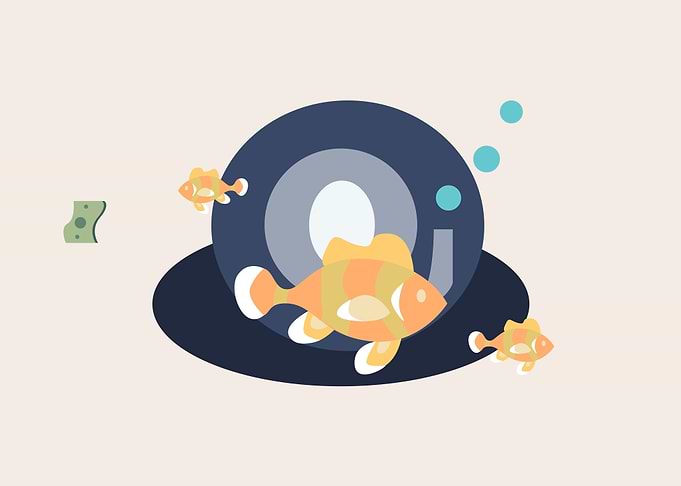 Fish and Money