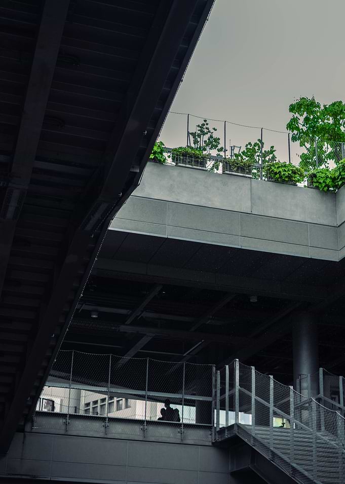 Rainy Day in Tokyo