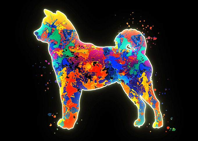 Shiba inu Dog