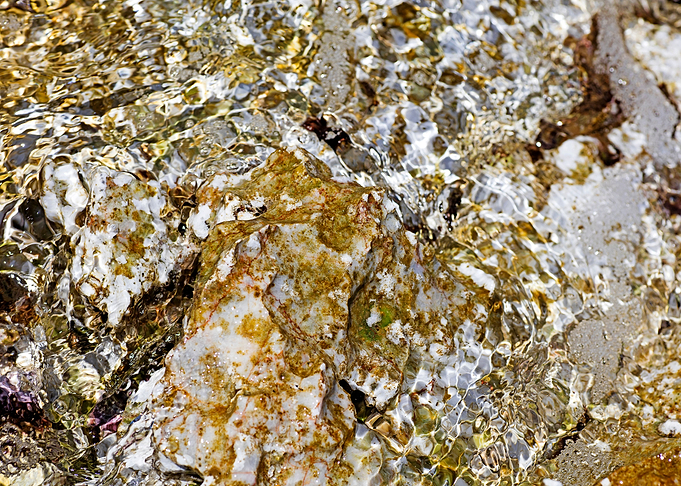 Sea summer rocks close up