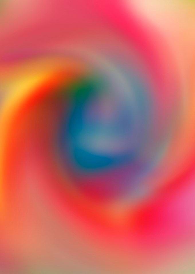 Blurred rose