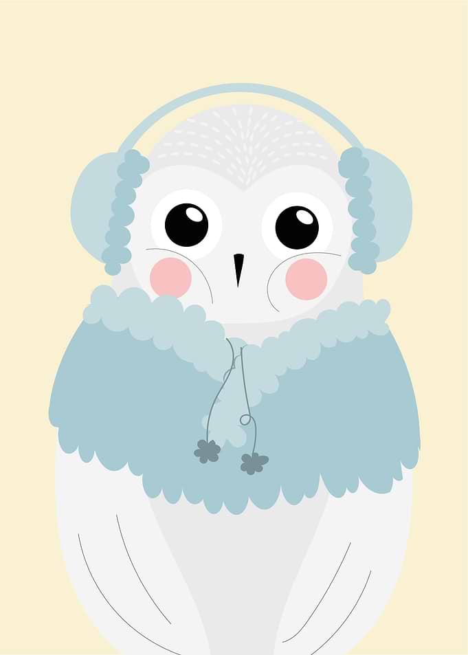 Cute Owl
