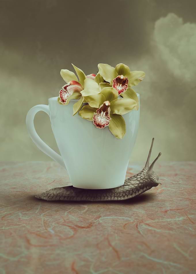 Time for Coffee