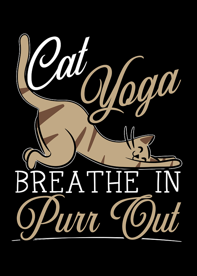 Yoga Meditation Fitness