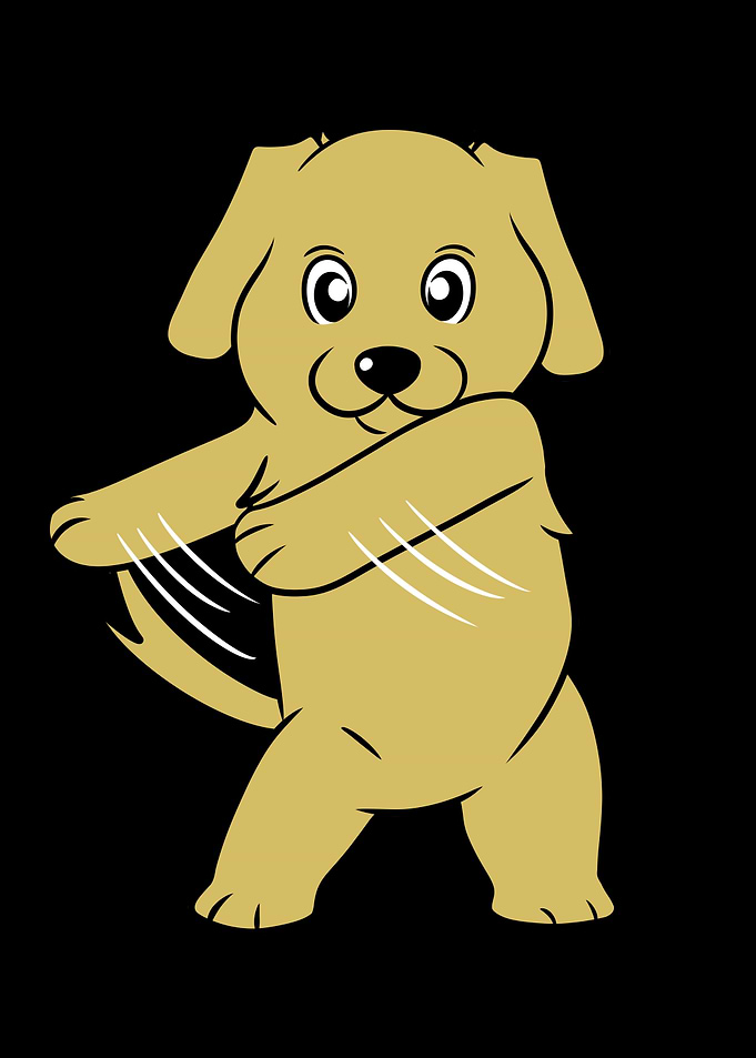Golden Retriever Flossing
