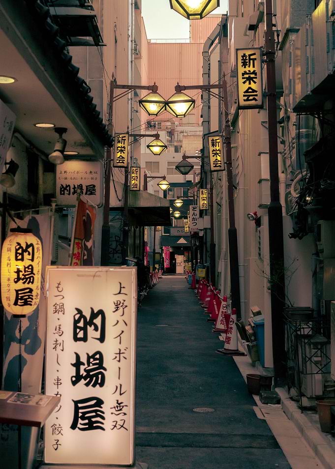 Path to Akihabara