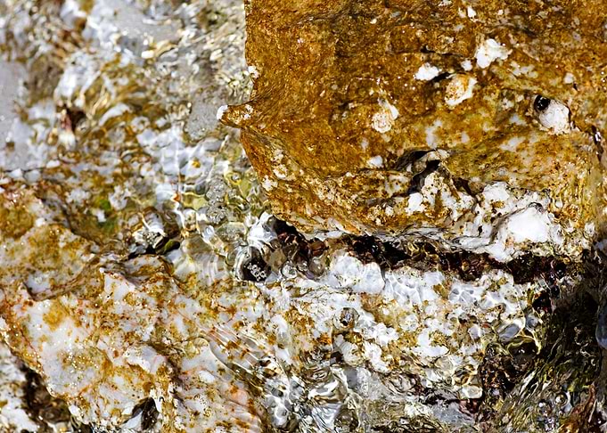 Sea summer rocks close up