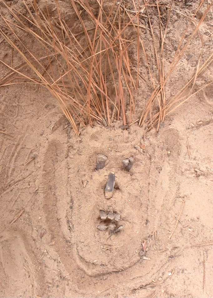 Dirt Man