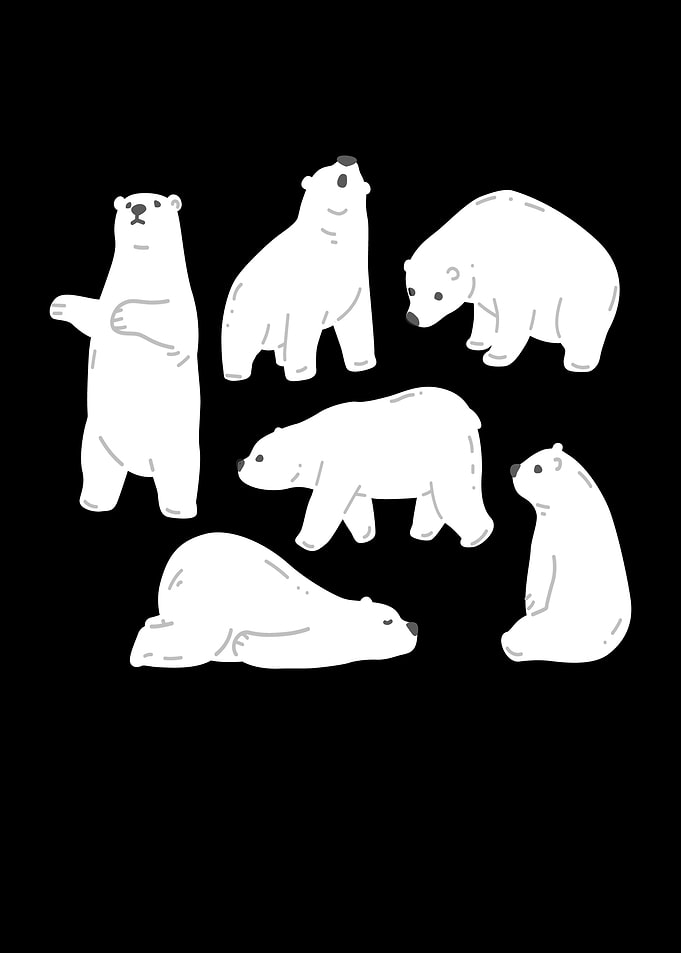 Polar Bears Bears Animal