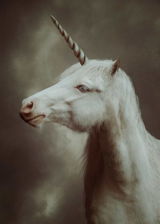Ballad of the Unicorn