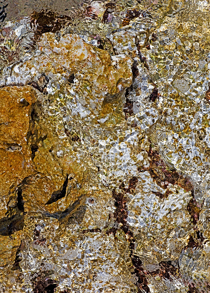 Sea summer rocks close up