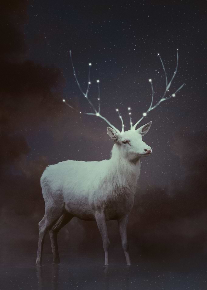 Starry