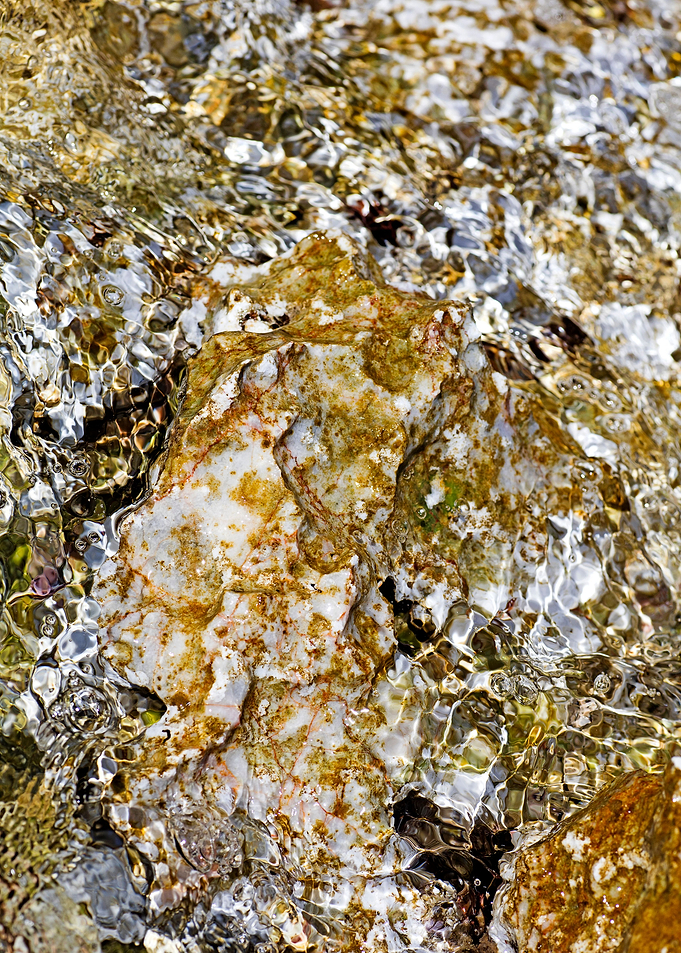 Sea summer rocks close up