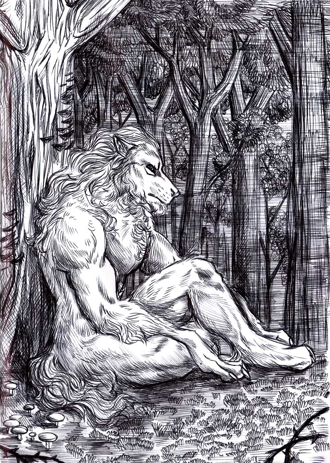 Rest in the forest