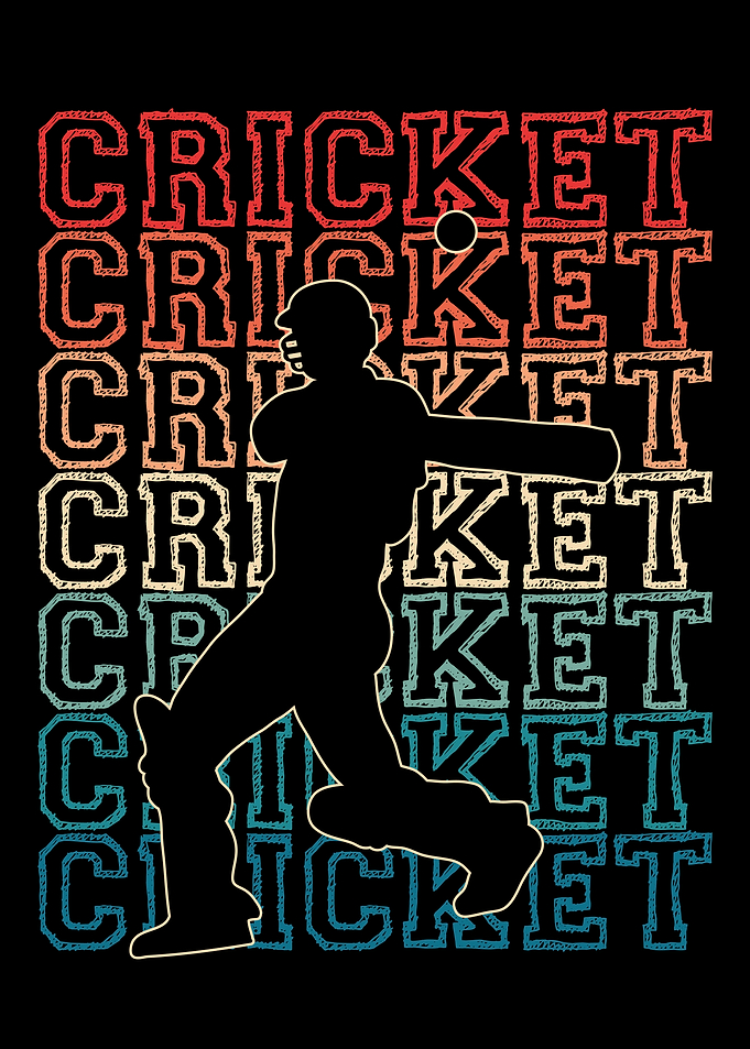 Cricket player pitch the b