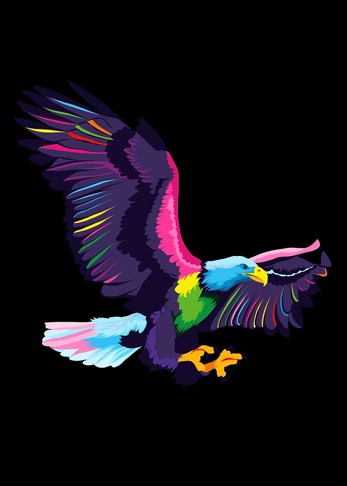 Flying bald eagle