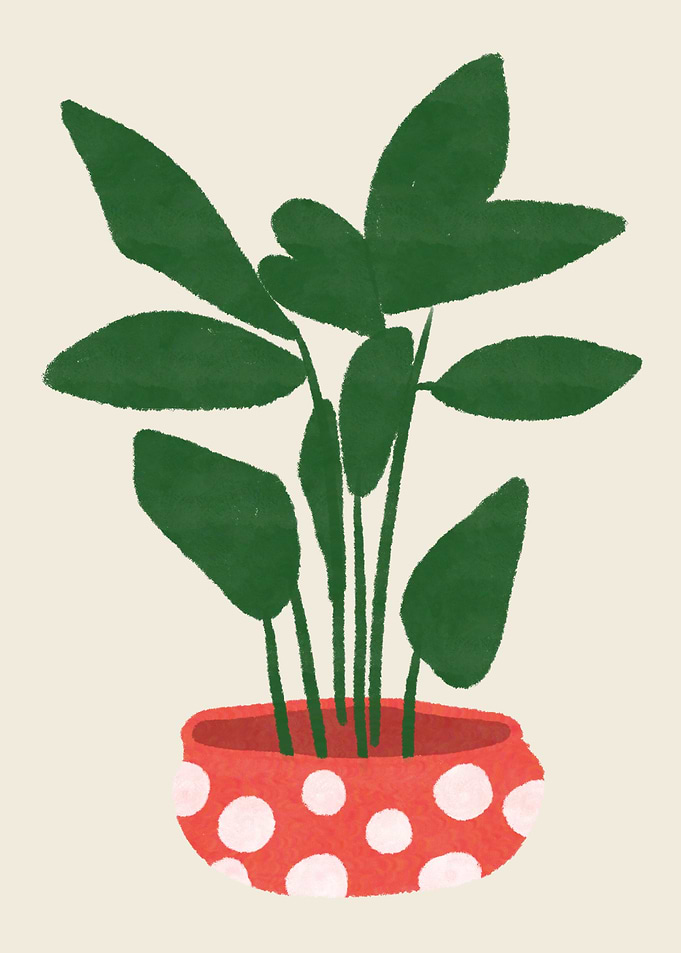 Big Leaf Plant